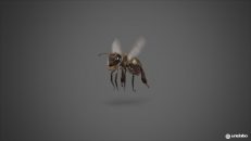 undabo_pitch_bee