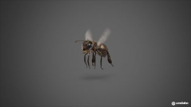 undabo_pitch_bee