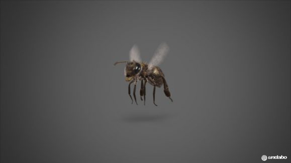undabo_pitch_bee