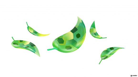 undabo_pitch_floraleaf
