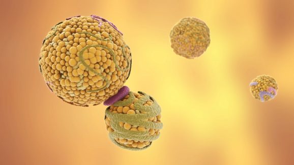 Epanova FINAL clean FULL HD (04139)